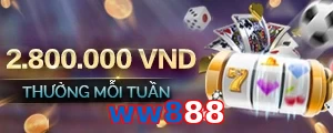 ww888