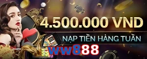 ww888