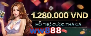 ww888