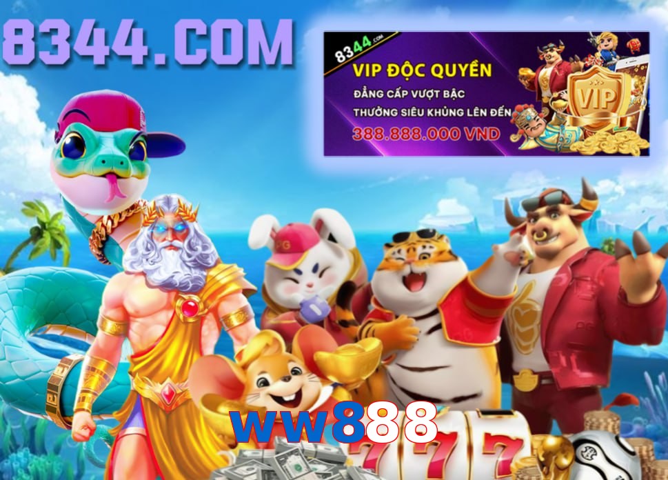 ww888