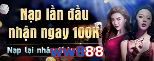 ww888