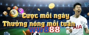 ww888